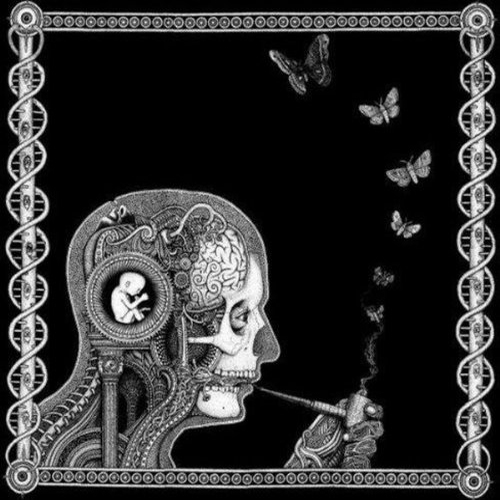 Soen-Cognitive