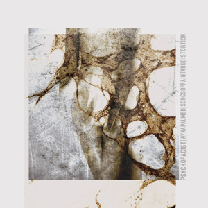 Psychofagist - Songs of Faint and Distortion